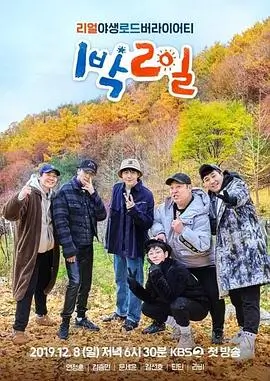 向往的生活第七季 综艺 2023 王征宇